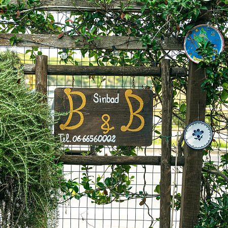 B&B Sinbad La Scialuppa Fregenae Bagian luar foto