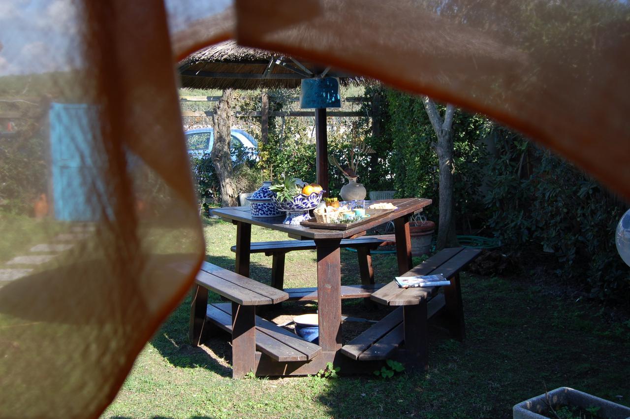 B&B Sinbad La Scialuppa Fregenae Bagian luar foto